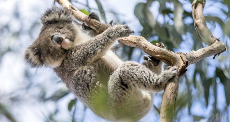Between Perth and Darwin (18 destinations) - DIAMIR Erlebnisreisen 2
