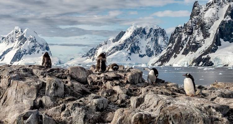 Expedición al Círculo Polar Antártico (2026) - Hurtigruten 5