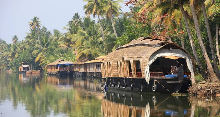 Péniches sur un canal tranquille avec des palmiers luxuriants.