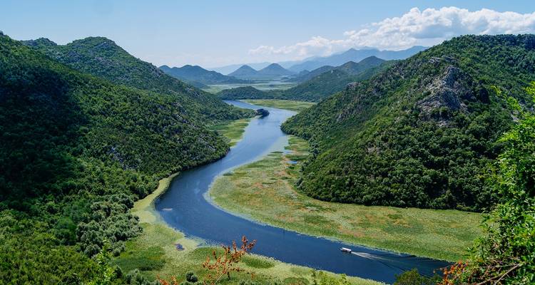 A winding river surrounded by lush greenery and mountain scenery.