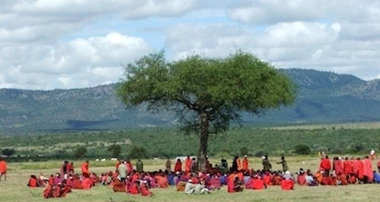 The Gorilla Trek - Absolute Africa 4