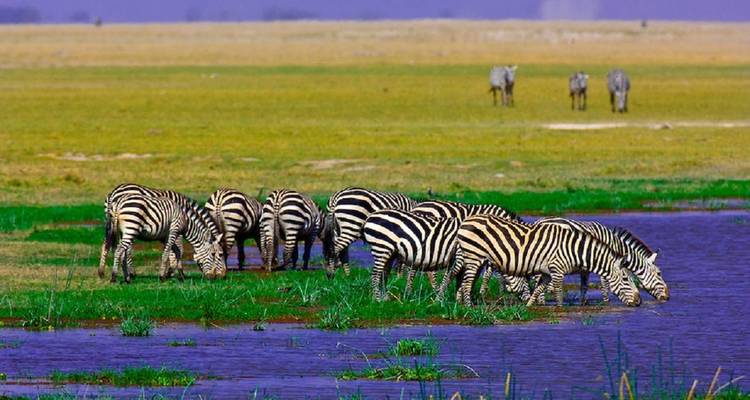 Descubre las maravillas de Tsavo - BESH AFRICAN ADVENTURES 2