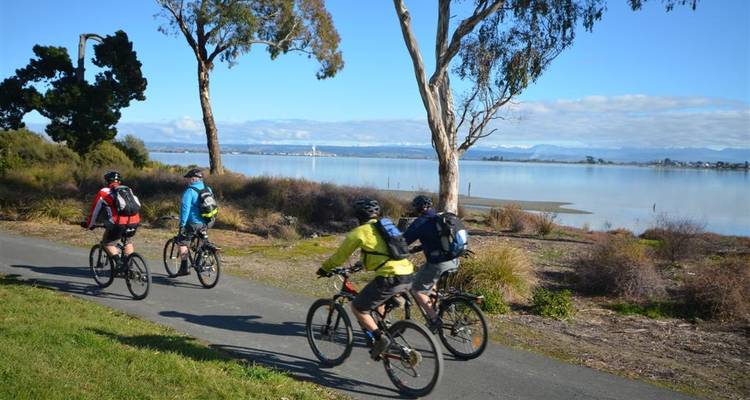 Tour de Great Taste Trail NZ - Self Guided - Tour de Vines 5