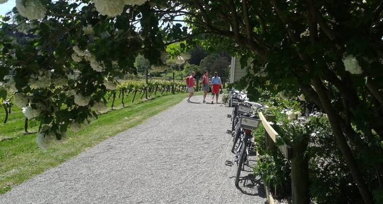 Tour de Great Taste Trail NZ - Self Guided - Tour de Vines 2