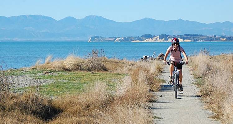 Tour de Great Taste Trail NZ - Self Guided - Tour de Vines 3