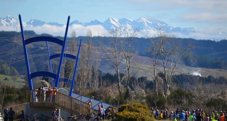Tour de Great Taste Trail NZ - Self Guided - Tour de Vines 4