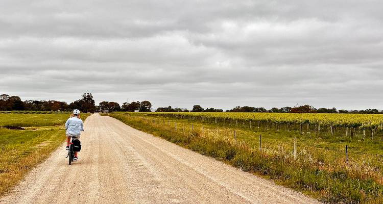 Tour des vignobles d'Australie-Méridionale - Petit groupe guidé 6N/7D - Tour de Vines 3