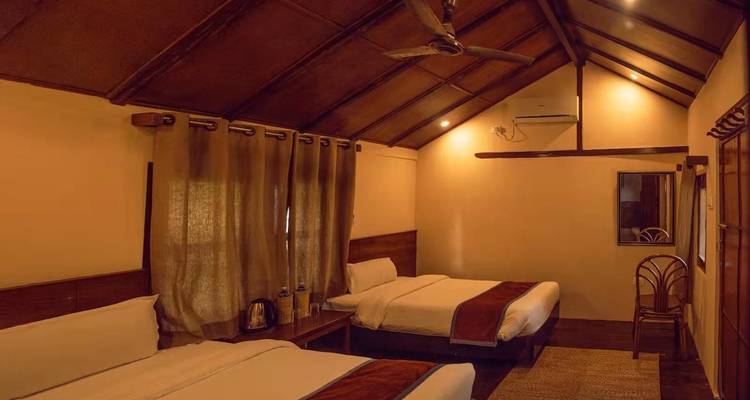 Les merveilles de la faune : safari privé de 3 jours dans la jungle de Chitwan au départ de Katmandou/Pokhara - Linkage Tours And Travels Pvt. Ltd. 6