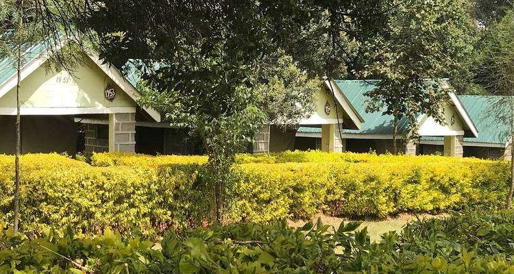 3 Jours, 2 Nuits Maasai Mara Group Joining Budget Safari Kenya With Landcruiser - World Adventure Tours 6