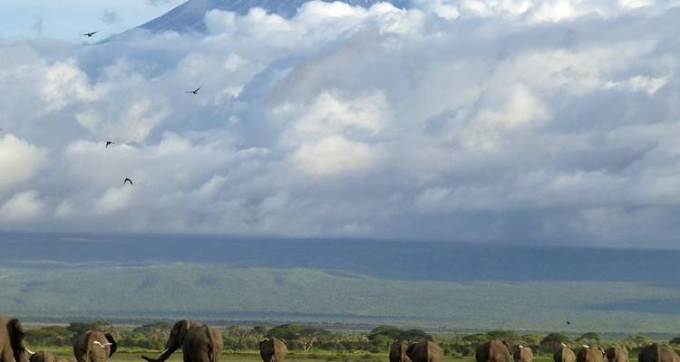 6 DAYS AFFORDABLE CLASSIC KENYA SAFARI - Classic Journeys Africa Ltd 1