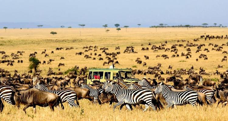 6 DAYS AFFORDABLE CLASSIC KENYA SAFARI - Classic Journeys Africa Ltd 2