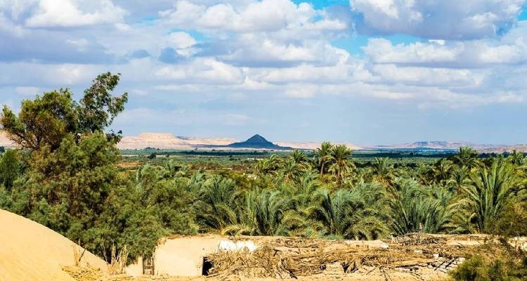 Paquete de aventura de 4 días a El Cairo y el oasis de Bahariya - Sun Pyramid Tours 5
