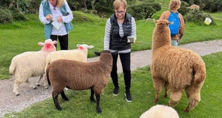 6 Day Snippet of Shamrock - Small Group Coach Tour - Irish Tours For You 2