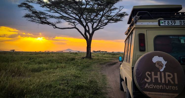 6 jours - Milieu de gamme Manyara, Serengeti, Cratère et Tarangire - Shiri Adventures 10