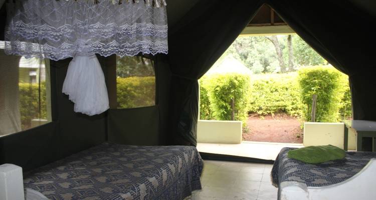 4 Days, 3 Nights Maasai Mara and Lake Nakuru National Park Kenya Group Joining Budget Safari - World Adventure Tours 1