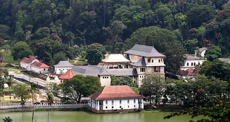 Circuit d'introduction au Sri Lanka - Passage Holidays 3