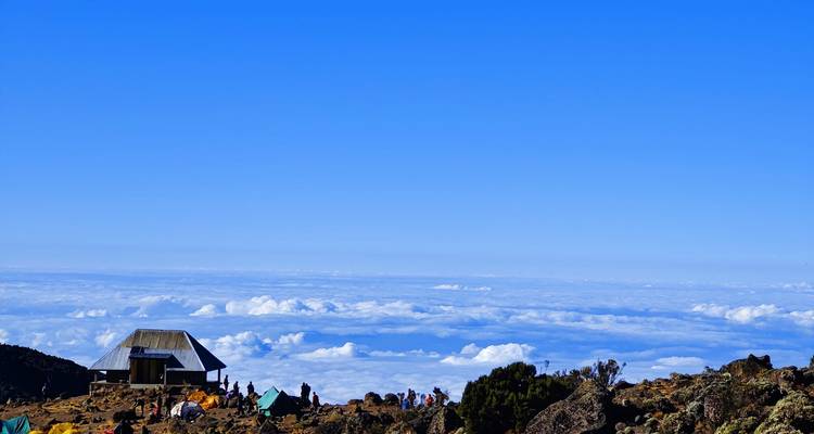 8 Day Kilimanjaro Trek- Lemosho Route - Shiri Adventures 2