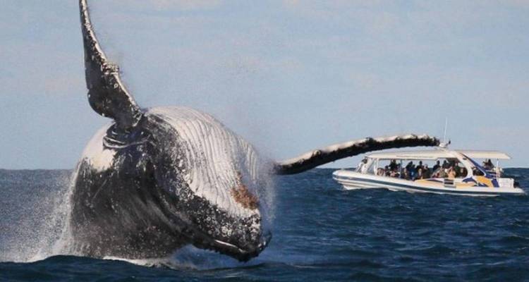 Sri Lanka Cultural and Natural Tour - Passage Holidays 4