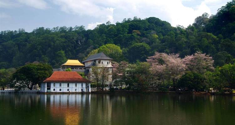 Sri Lanka Cultural and Natural Tour - Passage Holidays 6