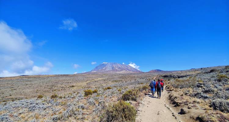 Trek au Kilimandjaro - Route Machame - 7 jours - Shiri Adventures 2