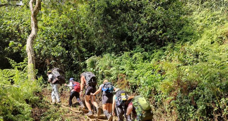Trek au Kilimandjaro - Route Machame - 7 jours - Shiri Adventures 4