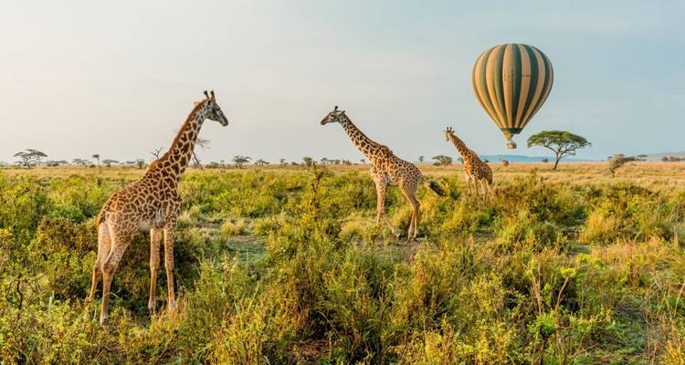 3 Days: A Taste of Tanzania Mid-Range - Shiri Adventures 1