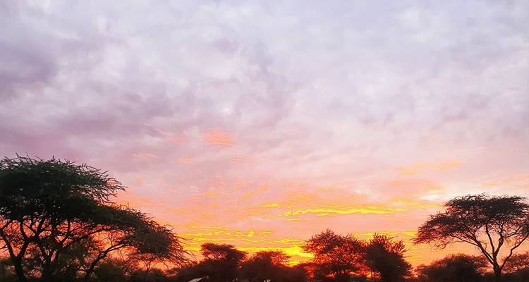 Safari a Tarangire, Serengeti y Ngorongoro - Hazzes Adventure 8