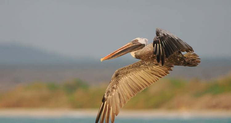 CIRCUIT INCROYABLE DE 6 JOURS AUX GALÁPAGOS (4 ÎLES) - Cami Adventures 1