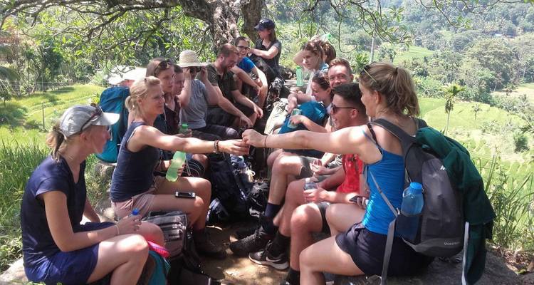 Un groupe de personnes se reposant sous un arbre pendant une randonnée.