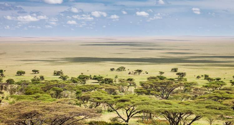 14 días de Picos a Llanuras: Ruta Lemosho Kilimanjaro Trekking y Safari - Shiri Adventures 7