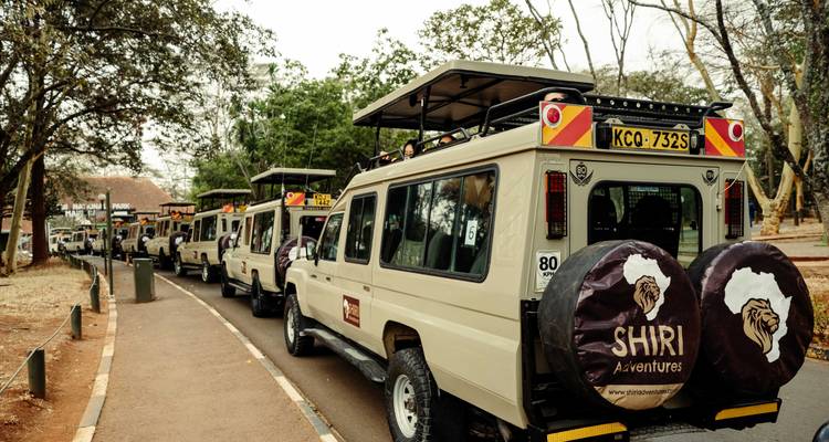 12 Days Premium Luxury Safari & Beach - Honeymoon Special - Shiri Adventures 1