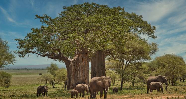 Safari de 11 días por la naturaleza y excursión a los gorilas: un circuito por la naturaleza - Shiri Adventures 4