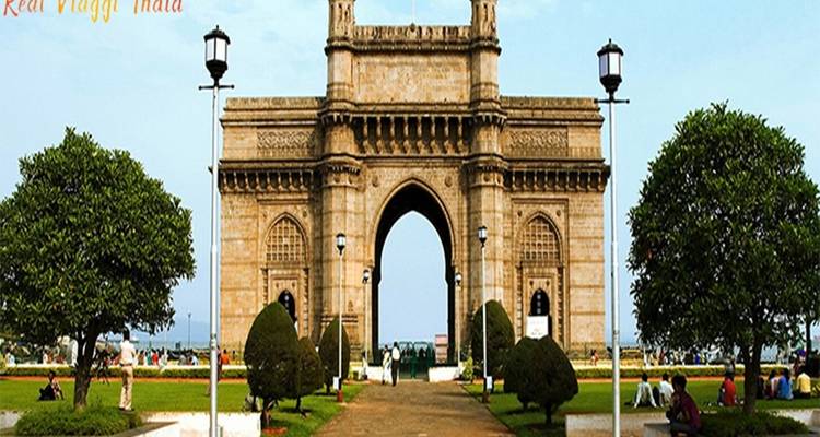 Meilleur endroit pour un safari dans la jungle en Inde à partir de Mumbai All inclusive - Real viaggi india  2