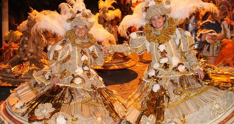 Rio de Janeiro Carnival  Package 2024 - Across Caribbean Excursions  3