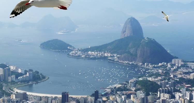 Rio de Janeiro Carnival  Package 2024 - Across Caribbean Excursions  6
