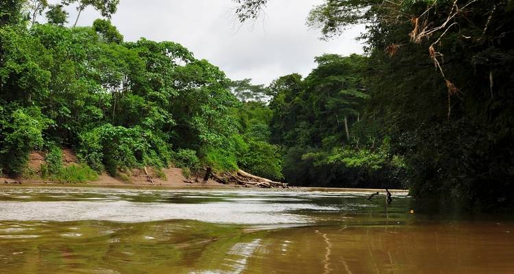Aventure dans la forêt amazonienne - 4 jours/3 nuits - Across Caribbean Excursions  3