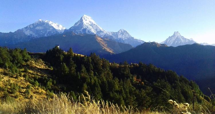 Trekking Ghorepani - Poonhill - Himalayan Social Journey 4