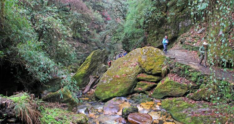 Trekking Ghorepani - Poonhill - Himalayan Social Journey 9