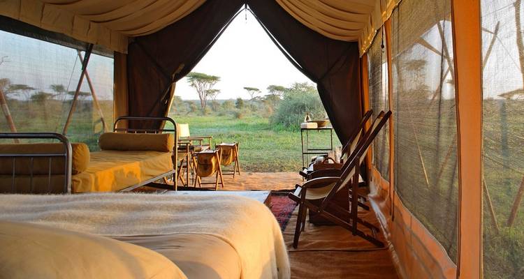 Circuito definitivo de 12 días a Kenia y Tanzania: safari en Serengeti y Masai Mara. - Africa Natural Tours 2