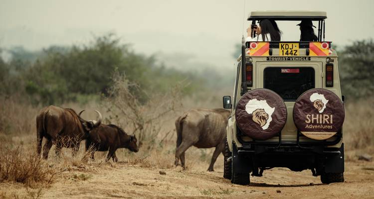 Inolvidable safari de 10 días por Kenia y Tanzania. - Shiri Adventures 6