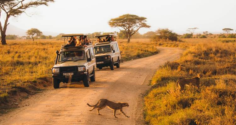 9 días - vacaciones de lujo en safari y playa en luna de miel Premium - Shiri Adventures 2