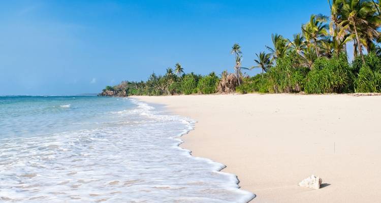 16-Day Gorilla Safari & Zanzibar: A Perfect Blend of Adventure Romance - Shiri Adventures 4