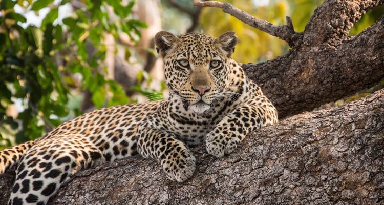 Unforgettable 9 Days Safari Kenya & Tanzania. - Shiri Adventures 3