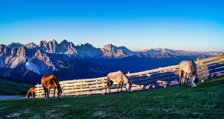 Découverte des Dolomites, de la Vénétie et du Trentin - 7 jours - Click Tours 4