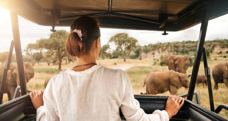 Mejor Safari Económico de 9 Días en Kenia y Tanzania, África: Salir de Nairobi al Precio Más Bajo 2025-2026 - Africa Natural Tours 1