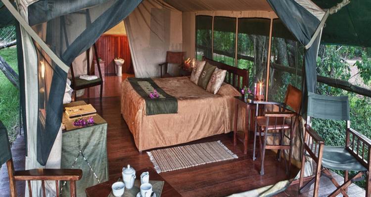 Mejor Safari Económico de 9 Días en Kenia y Tanzania, África: Salir de Nairobi al Precio Más Bajo 2025-2026 - Africa Natural Tours 2
