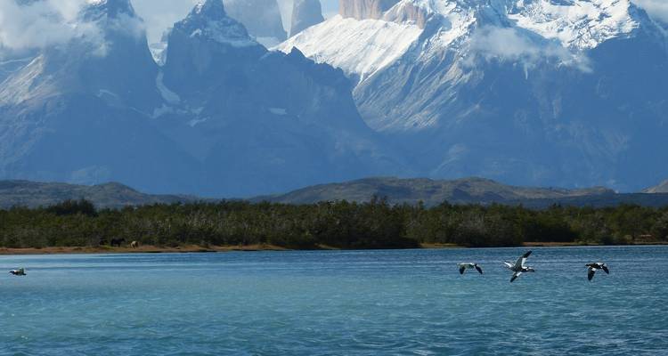 Expedición Antártida, Patagonia y fiordos chilenos (2024) - Hurtigruten 10