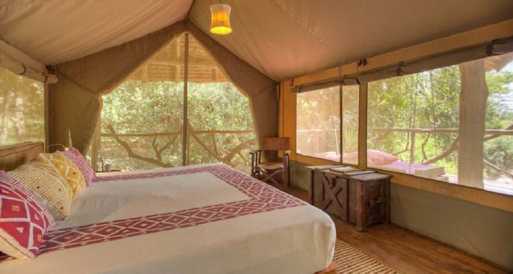 El Safari Definitivo de 8 Días por Kenia y Tanzania: Comienza en Nairobi (Kenia) y termina en Arusha (Tanzania) - Africa Natural Tours 3