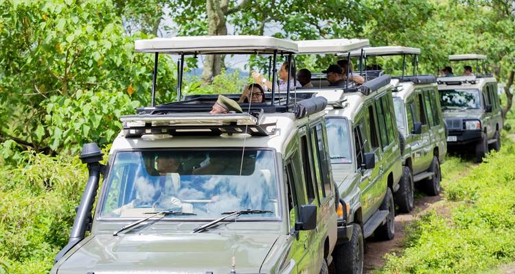 Groupe de touristes dans des véhicules de safari sur un sentier dans la forêt.