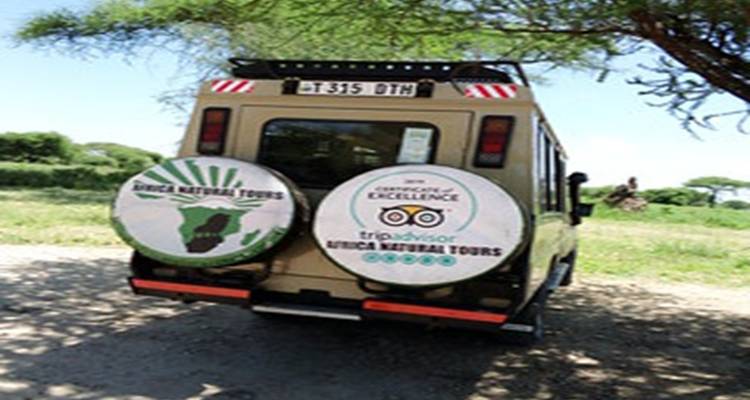 Vue arrière d'un véhicule de safari avec la marque Africa Natural Tours.